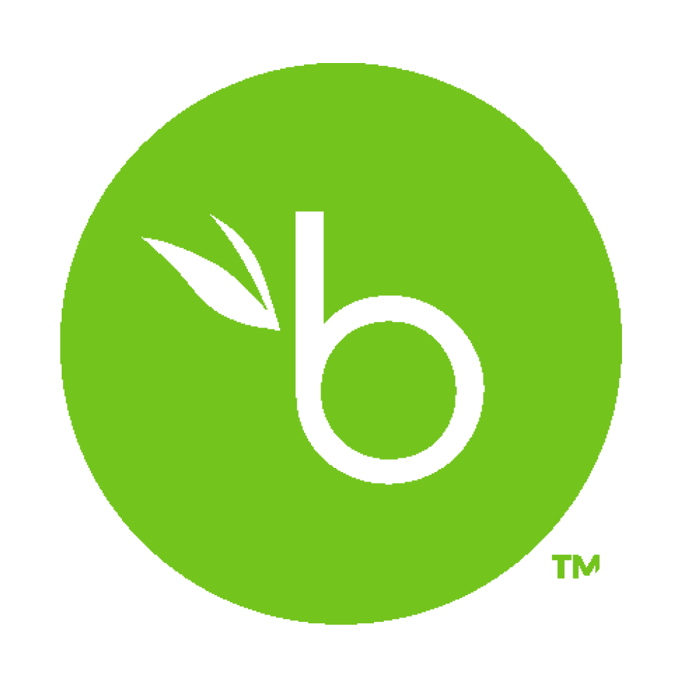 Bamboo Hr and Analytify AI Integration